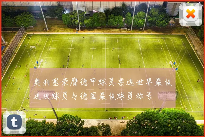 奥利塞荣膺德甲球员票选世界最佳进攻球员与德国最佳球员称号